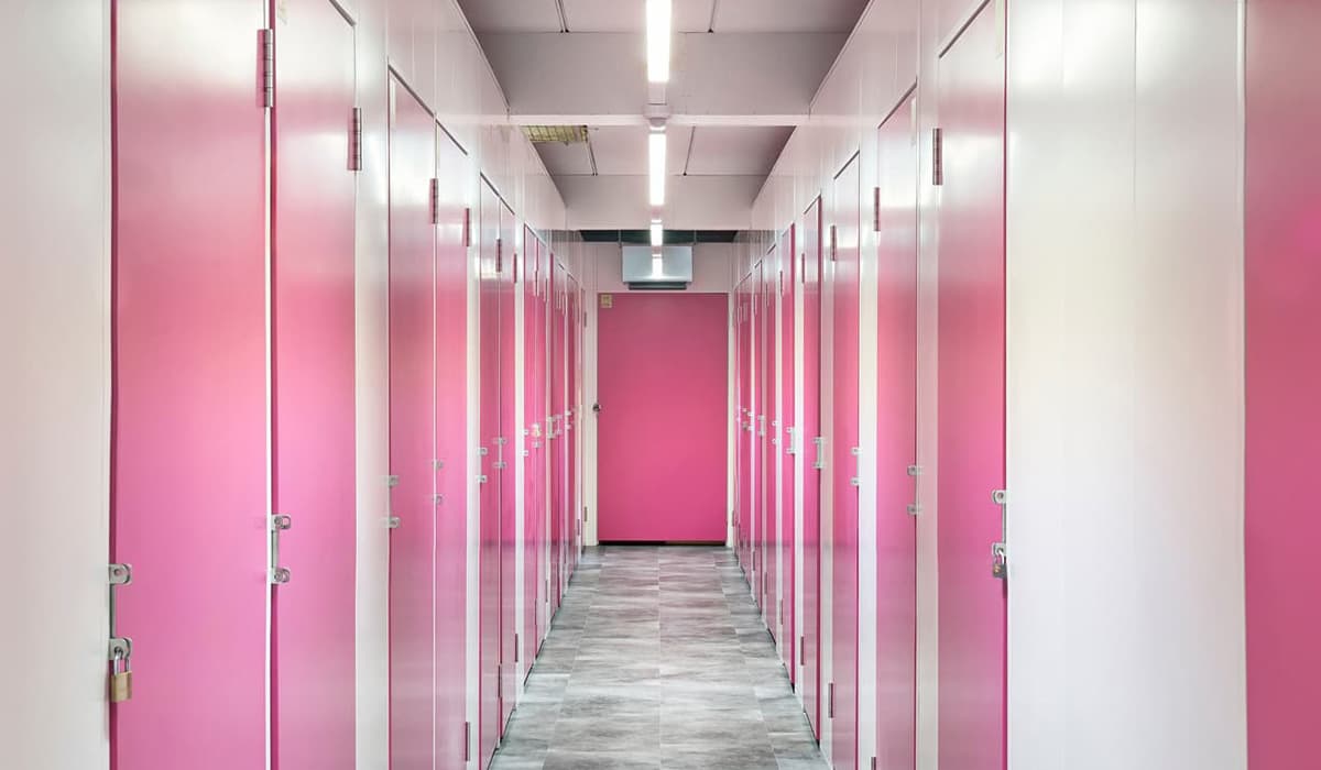Self Storage pink